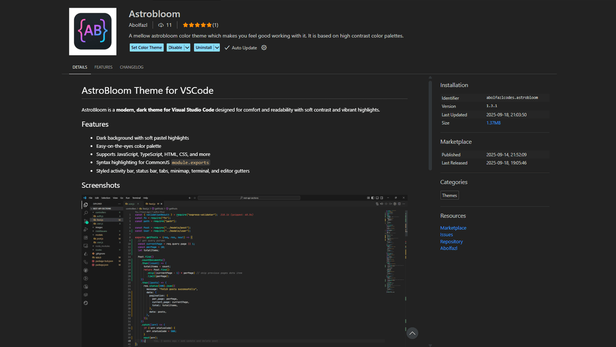 The theme extension main page in vscode